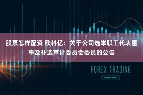 股票怎样配资 欧科亿：关于公司选举职工代表董事及补选审计委员会委员的公告